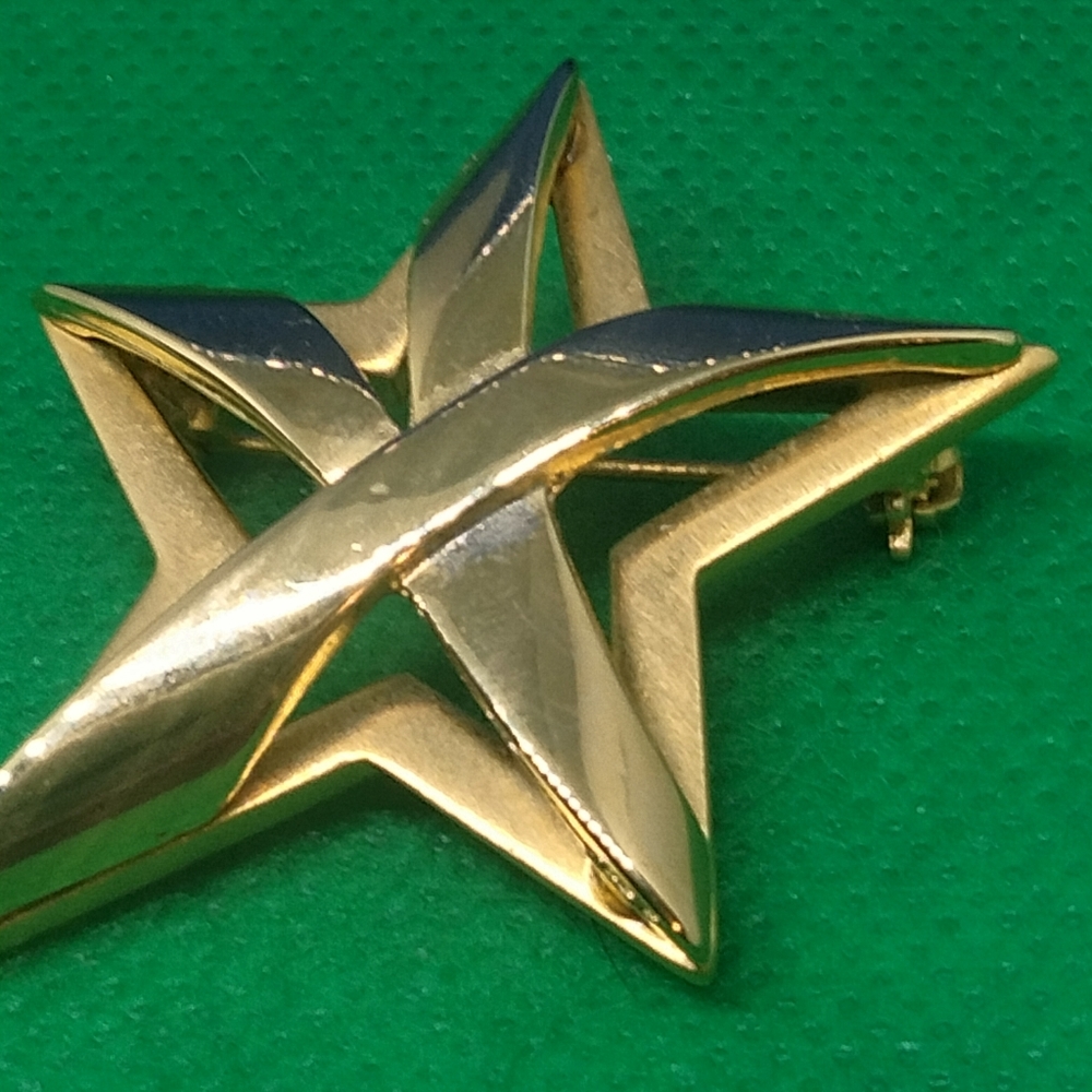 Vero star brooch